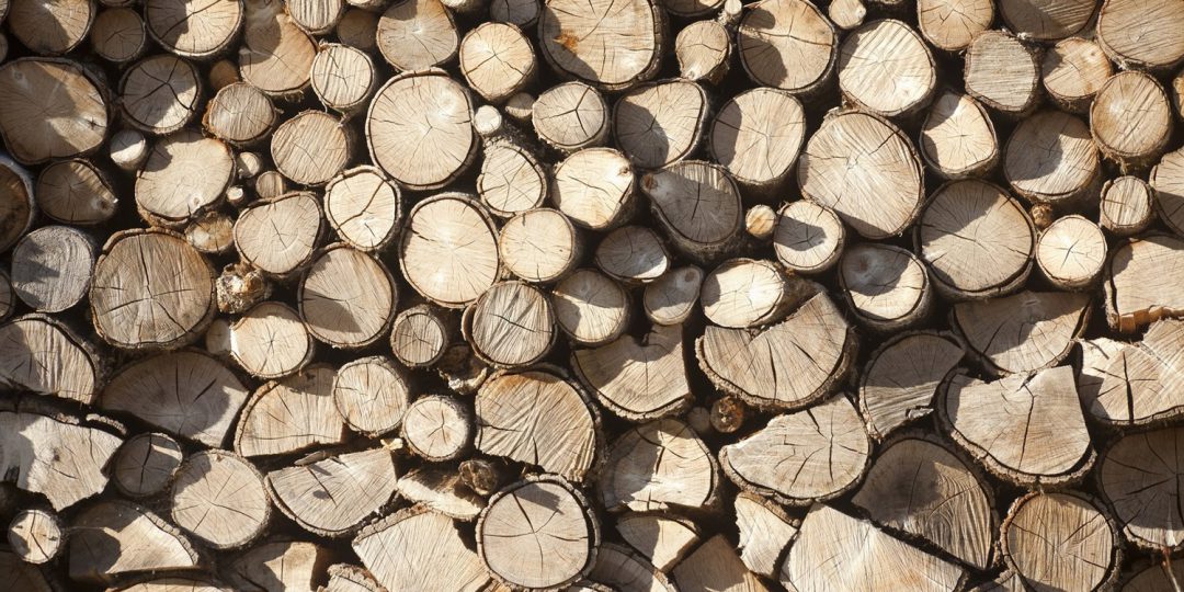 El precio de la madera se dispara, subida del 50%