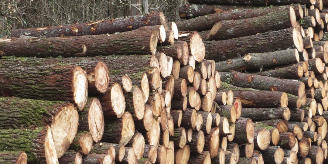 Sube el precio de la madera al crecer mucho su demanda