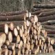 Sube el precio de la madera al crecer mucho su demanda