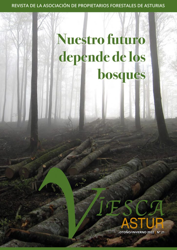 Revista Viesca Astur - nº 21 Enero 2023