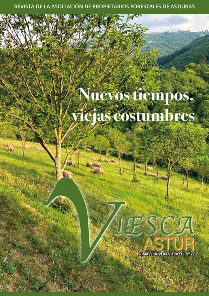 Revista Viesca Astur - nº 22 Junio 2023